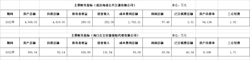 ?？诠患瘓F(tuán)及下屬各子公司2022年度信息公開財(cái)務(wù)主要指標(biāo)明細(xì)2_副本.png